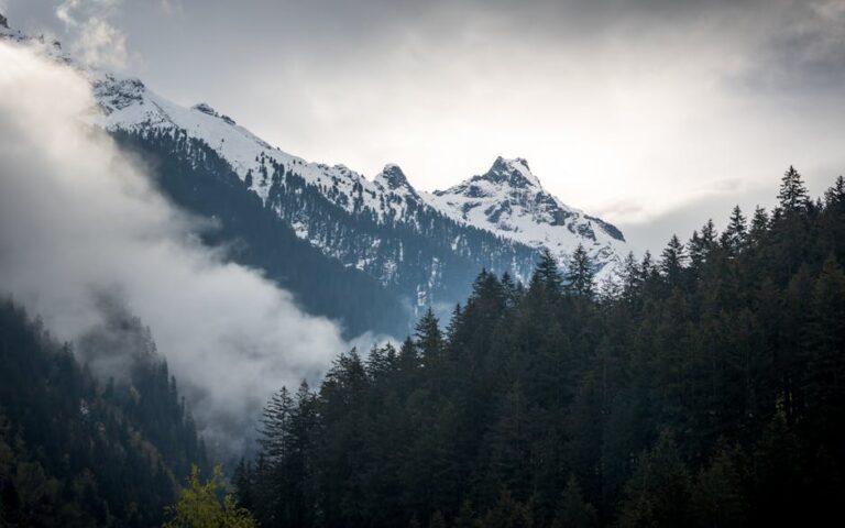 Beautiful snow-covered peaks and forests in Ginzling, Tirol, Austria.