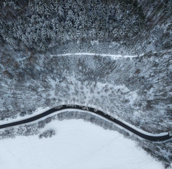 Aerial view of a snow-covered forest and curving road in winter.