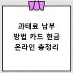 과태료 납부 방법 카드 현금 온라인 총정리