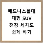 매드니스폴대 대형 SUV 천장 세차도 쉽게 하기