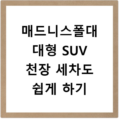 매드니스폴대 대형 SUV 천장 세차도 쉽게 하기