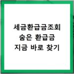 세금환급금조회 숨은 환급금 지금 바로 찾기