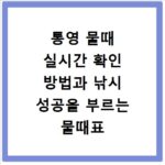 통영 물때 실시간 확인 방법과 낚시 성공을 부르는 물때표 보는 법
