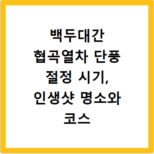 백두대간 협곡열차 단풍 절정 시기, 인생샷 명소와 코스 추천