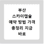 부산 스카이캡슐 예약 방법 가격 총정리 지금 바로 확인하세요