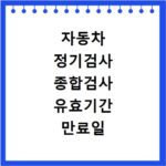 자동차 정기검사 종합검사 유효기간 만료일 확인 방법