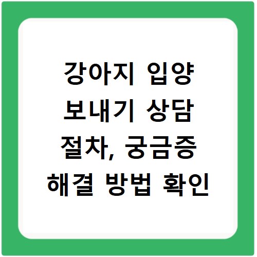 강아지 입양 보내기 상담 절차, 궁금증 해결 방법 확인