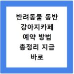 반려동물 동반 강아지카페 예약 방법 총정리 지금 바로 확인