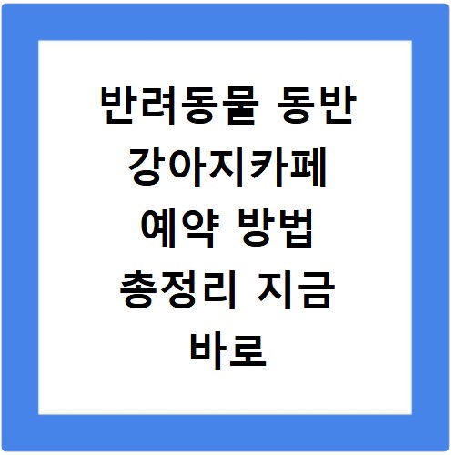 반려동물 동반 강아지카페 예약 방법 총정리 지금 바로 확인