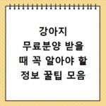 강아지 무료분양 받을 때 꼭 알아야 할 정보 꿀팁 모음