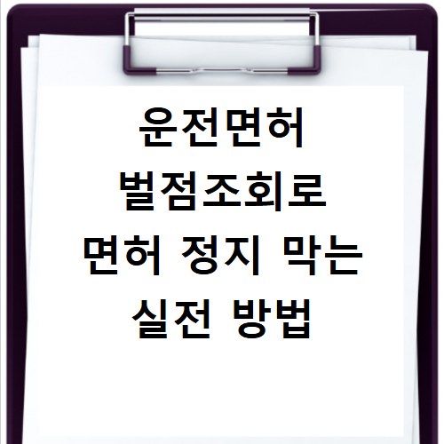 운전면허 벌점조회로 면허 정지 막는 실전 방법