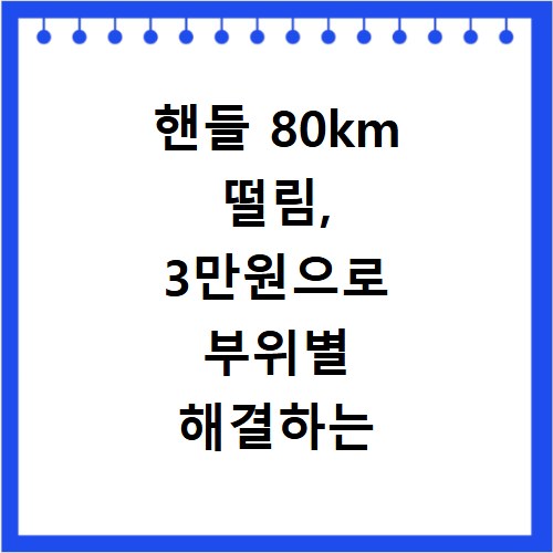 핸들 80km 떨림, 3만원으로 부위별 해결하는 비법 공개