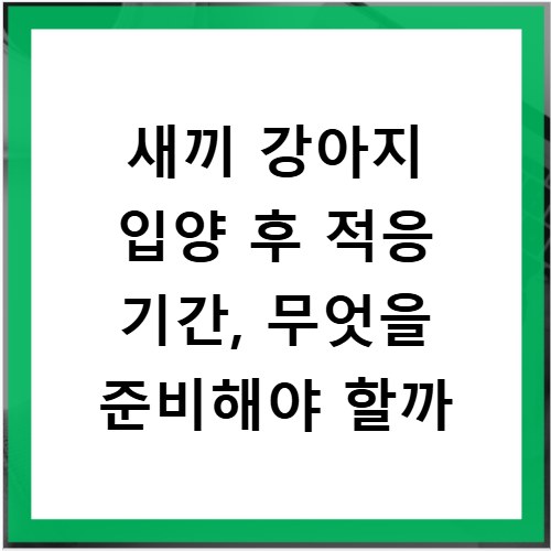 새끼 강아지 입양 후 적응 기간, 무엇을 준비해야 할까