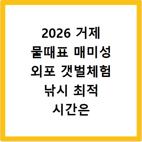 2026 거제 물때표 매미성 외포 갯벌체험 낚시 최적 시간은