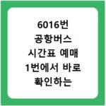 6016번 공항버스 시간표 예매 1번에서 바로 확인하는 법