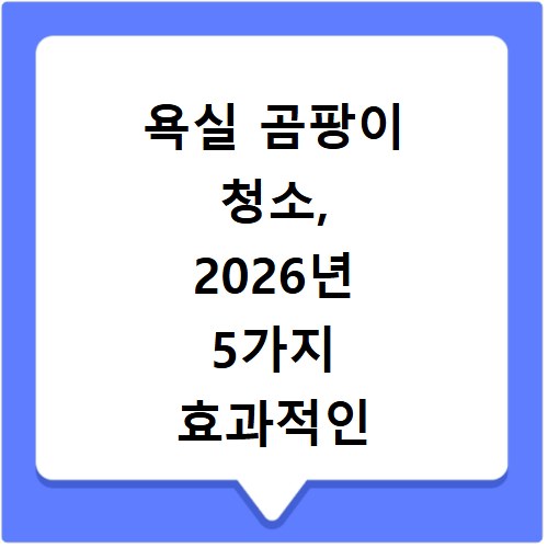 욕실 곰팡이 청소, 2026년 5가지 효과적인 제거 방법