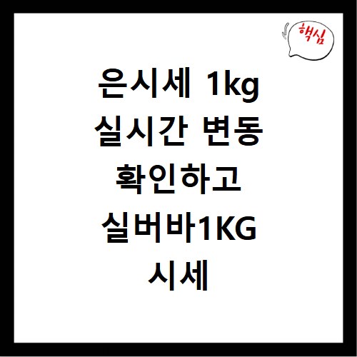 은시세 1kg 실시간 변동 확인하고 실버바1KG 시세 알아보기