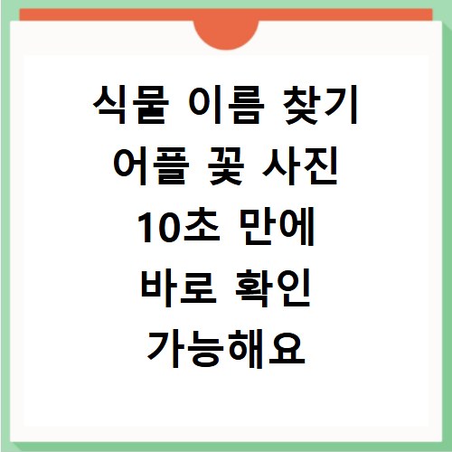 식물 이름 찾기 어플 꽃 사진 10초 만에 바로 확인 가능해요
